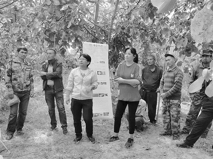 图①为张锐(左)在教种植户核桃树栽培技术(资料图片)。