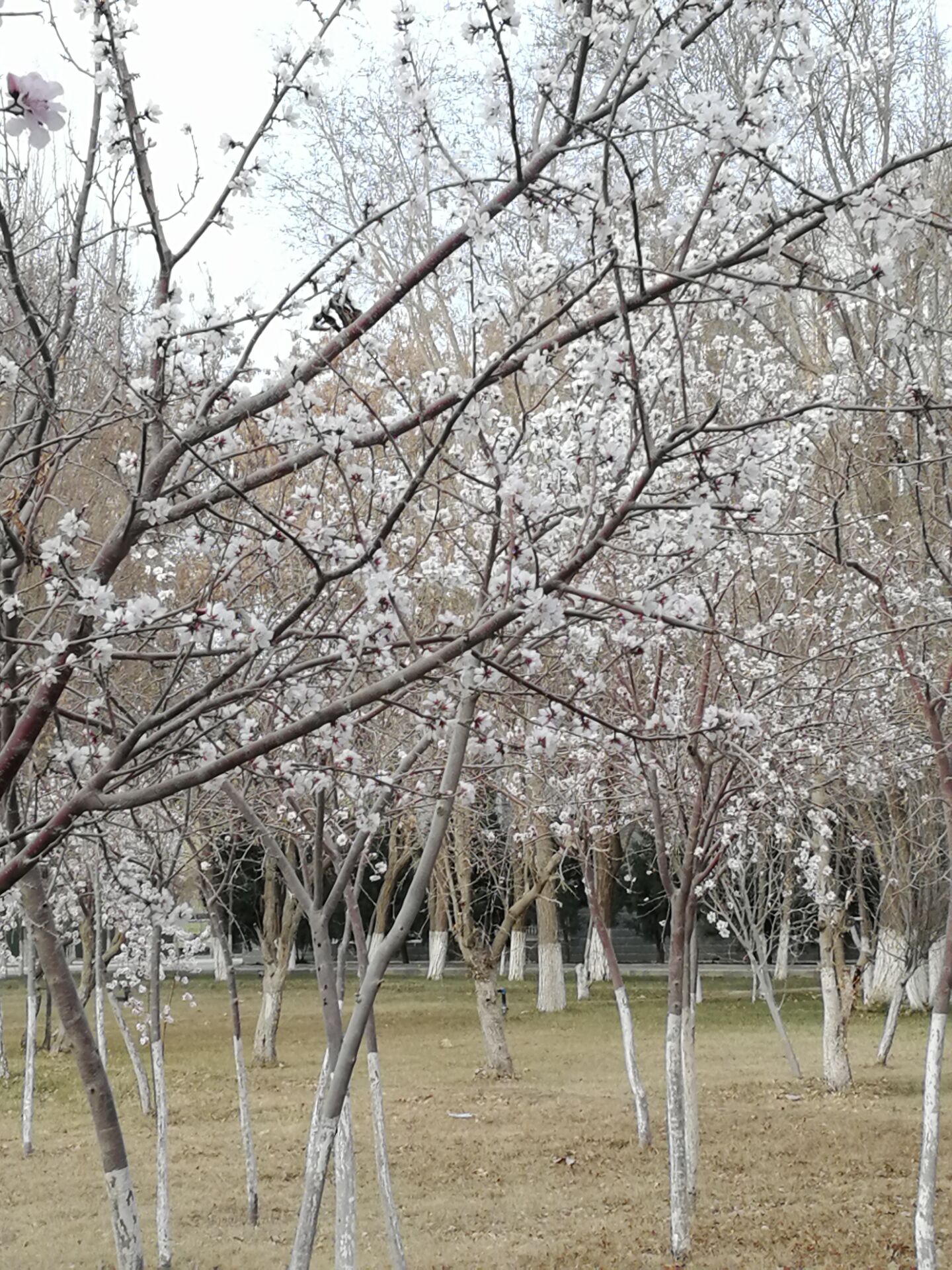 等你来