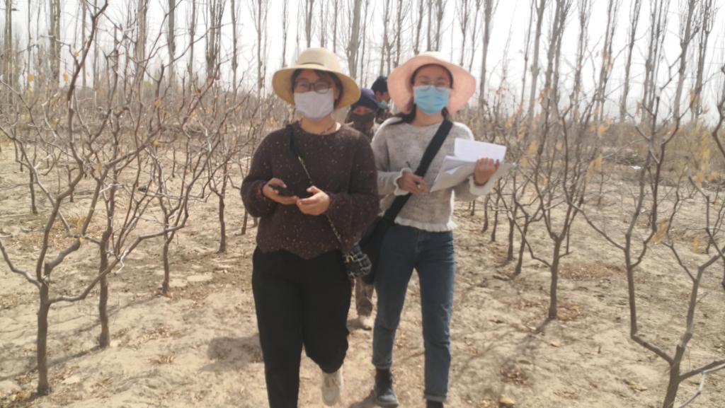 果树学研究生奔波在田间地头调查职工提质增效技术落实情况